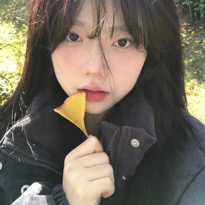 郊狼