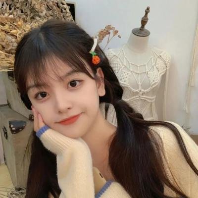 红色翅膀：火烈鸟故事